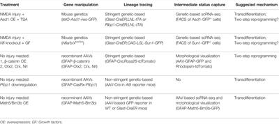 Critical Examination of Müller Glia-Derived in vivo Neurogenesis in the Mouse Retina